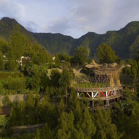 Pagupon Bromo Budget Lodge Eksteriør bilde