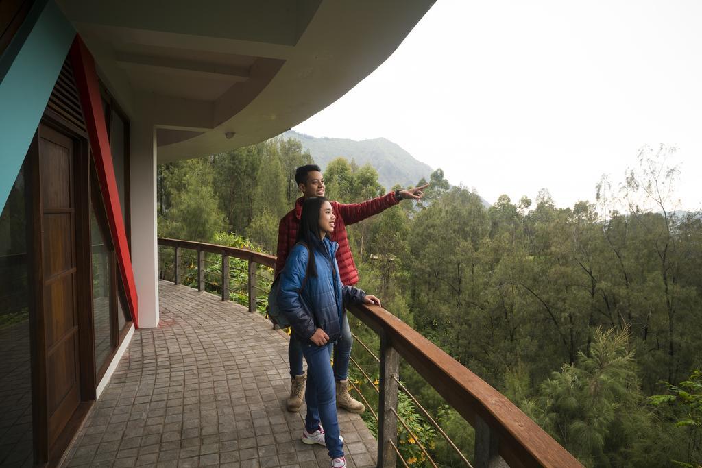 Pagupon Bromo Budget Lodge Eksteriør bilde