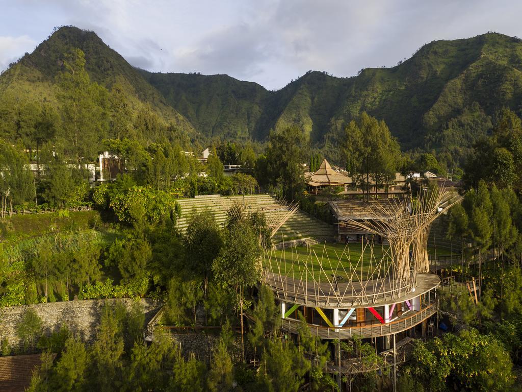 Pagupon Bromo Budget Lodge Eksteriør bilde